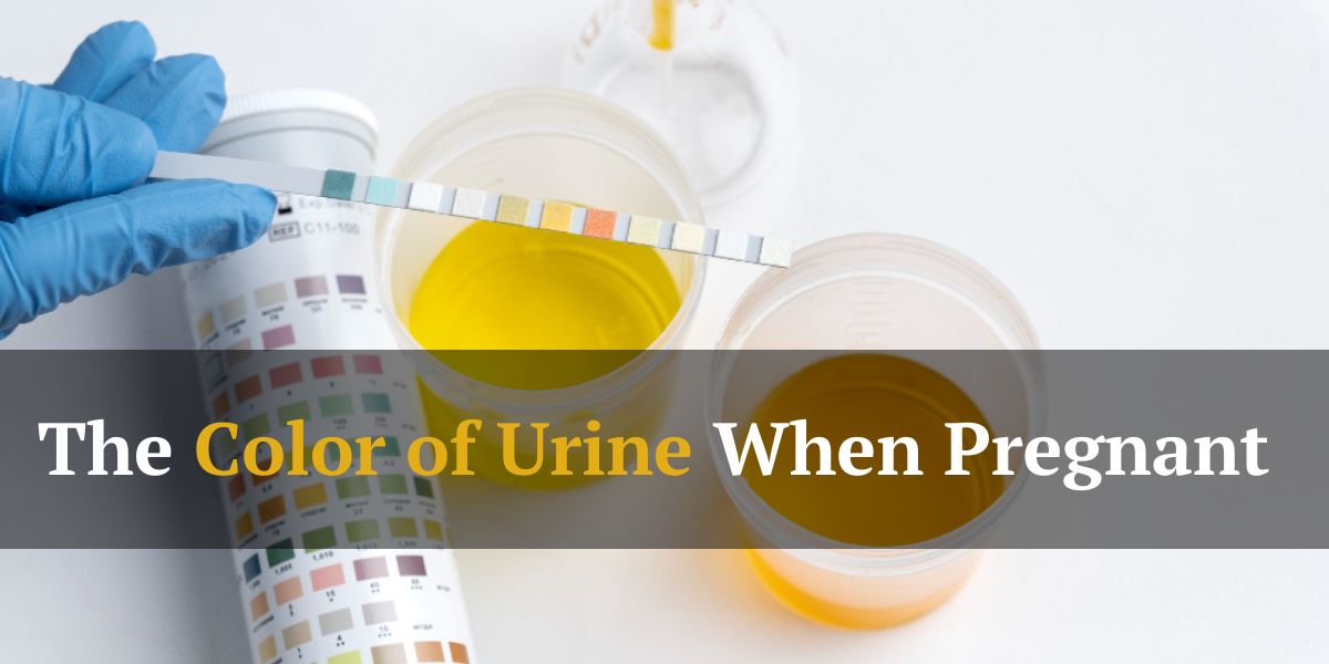 The Color of Urine When Pregnant