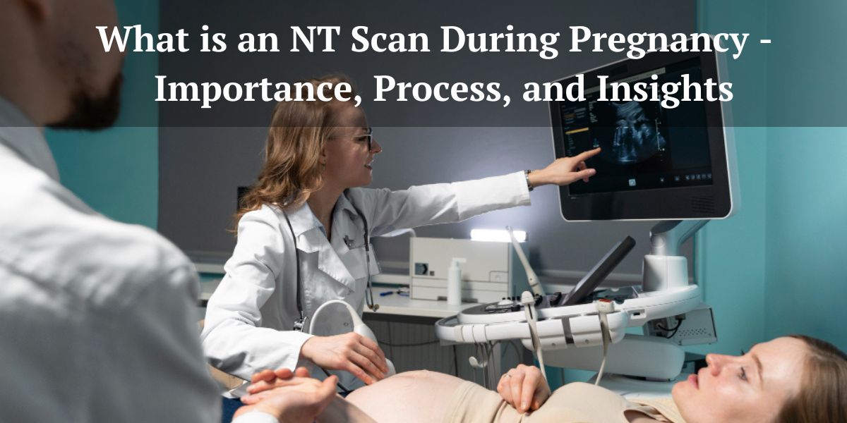 What is an NT Scan During Pregnancy